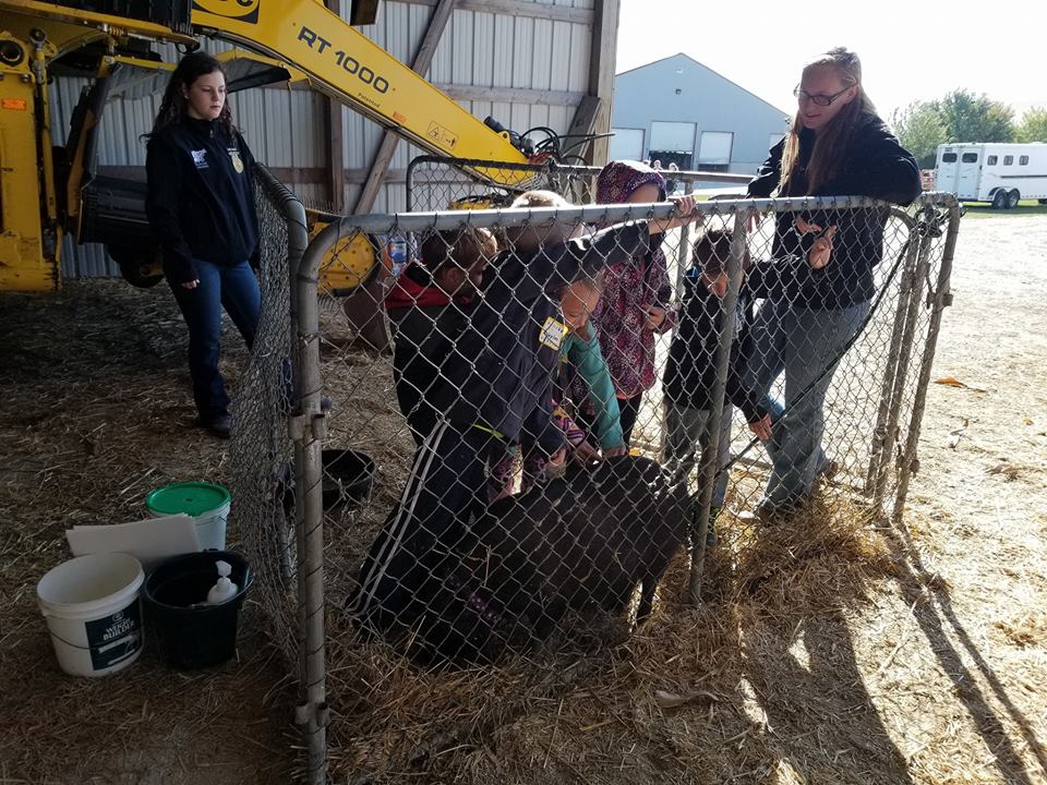 Zielanis Elementary School first graders fenced in with pig